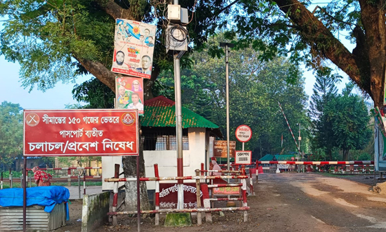 image-here